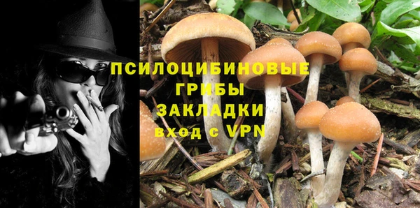не бодяженный Нязепетровск