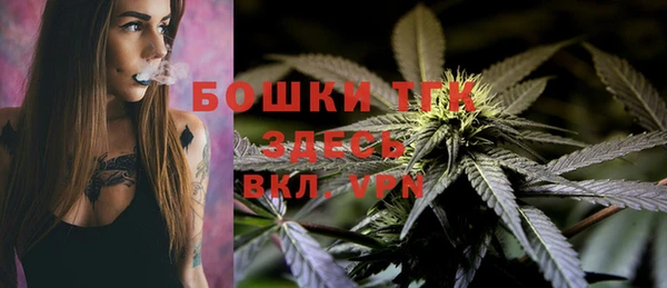 дмт Новозыбков
